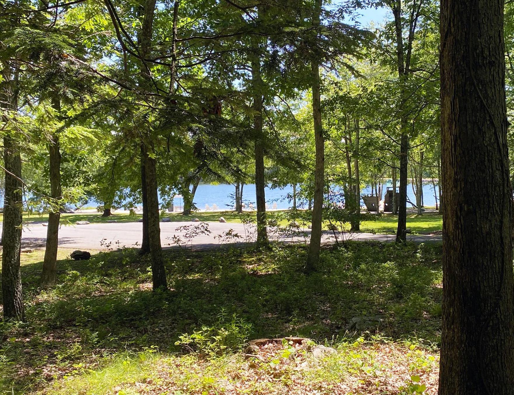 Mountain Springs Lodge